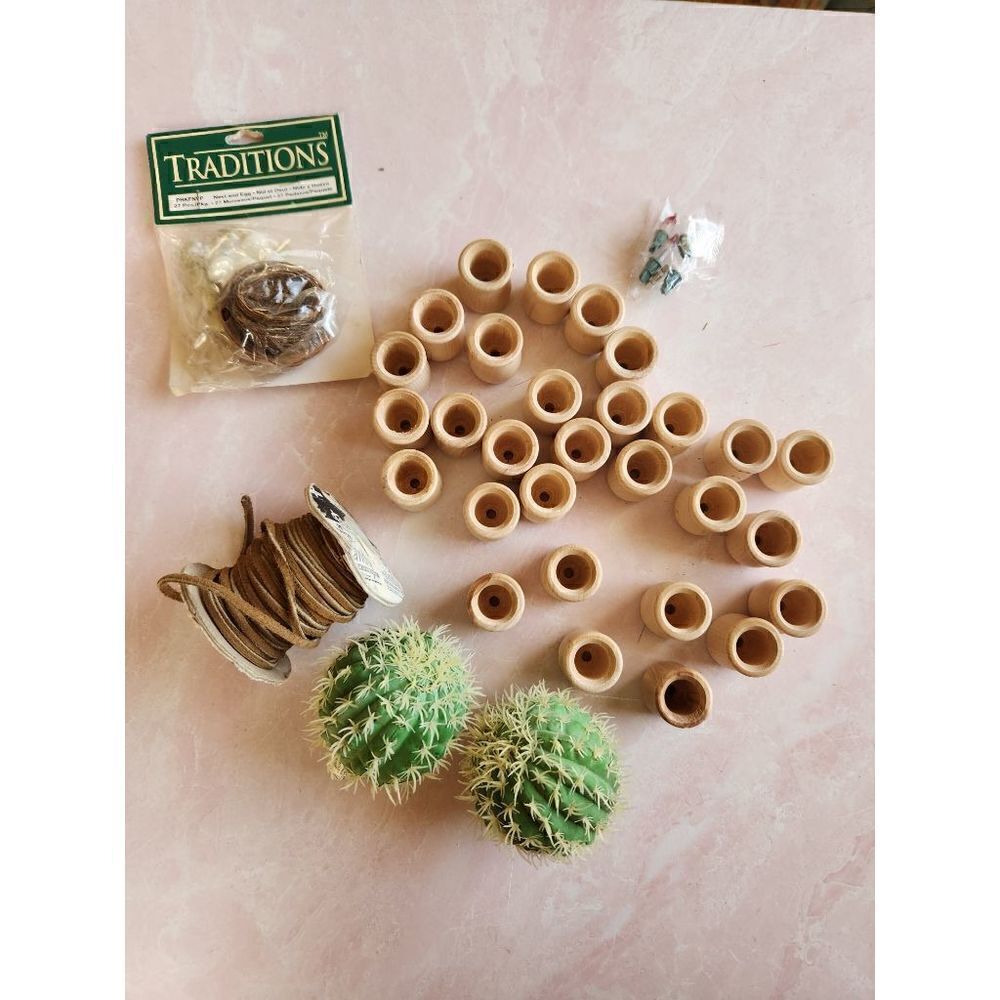 Craft bundle cactus artificial plant wooden mini pot ribbon bird nest eggs minia
